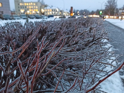 Ледяной дождь - 03.jpg